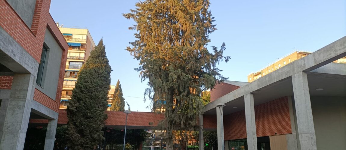 Imagen de WhatsApp 2025-10-09 a las 20.18.12_329ff378