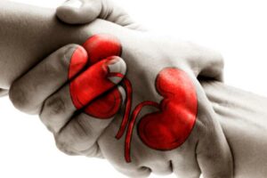 img_destacada-conferencia-donación