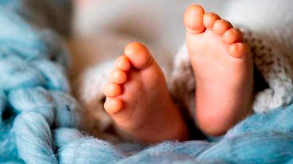 en el nuevo Centro Arrupe