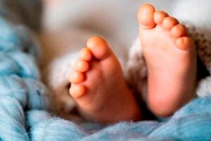 img_destacada-Delegado-PA-y-Superior